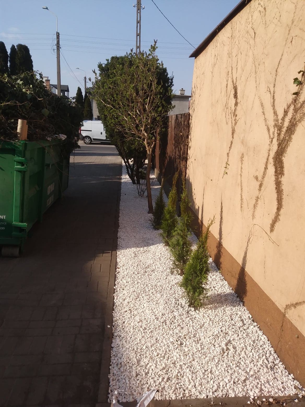 Wykończony fragment ogrodu z białymi kamykami, młodymi tujami i drzewami liściastymi wzdłuż ściany budynku, obok kontener na odpady zielone.