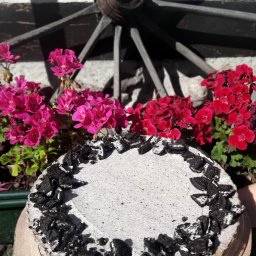 Catering so eat - Tarta oreo