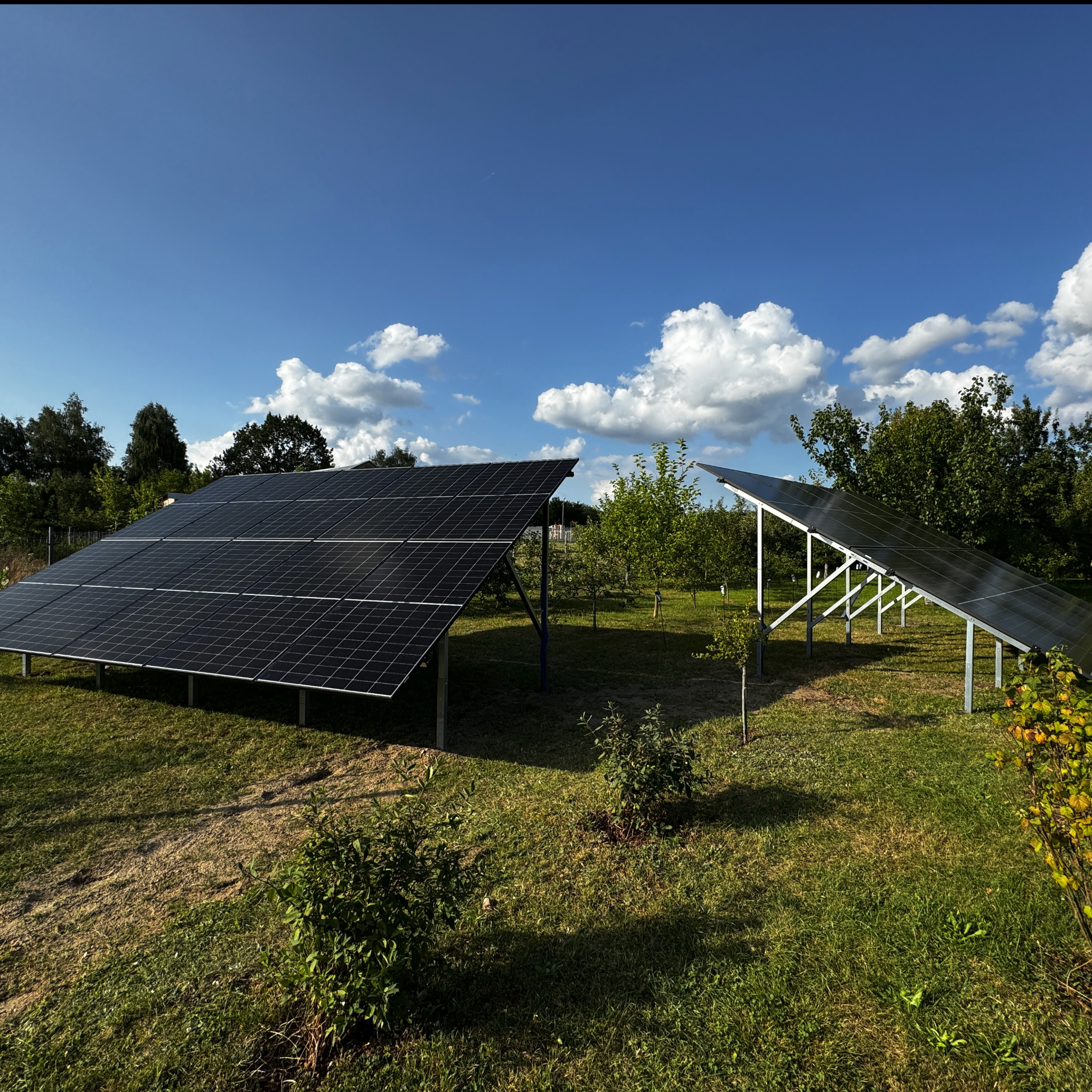 Dwa rzędy paneli słonecznych na metalowych konstrukcjach, ustawione na trawiastym terenie z drzewami owocowymi w tle pod błękitnym niebem z białymi obłokami.