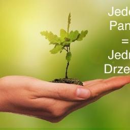  1 000 000 drzew dla Polski
Za montaż każdego panelu sadzimy drzewo w Narodowych parkach w Polsce
