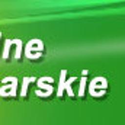 Hurtownia Budowlana BRUK - Sylwester Dziatzko - Skład Drewna Jasienica