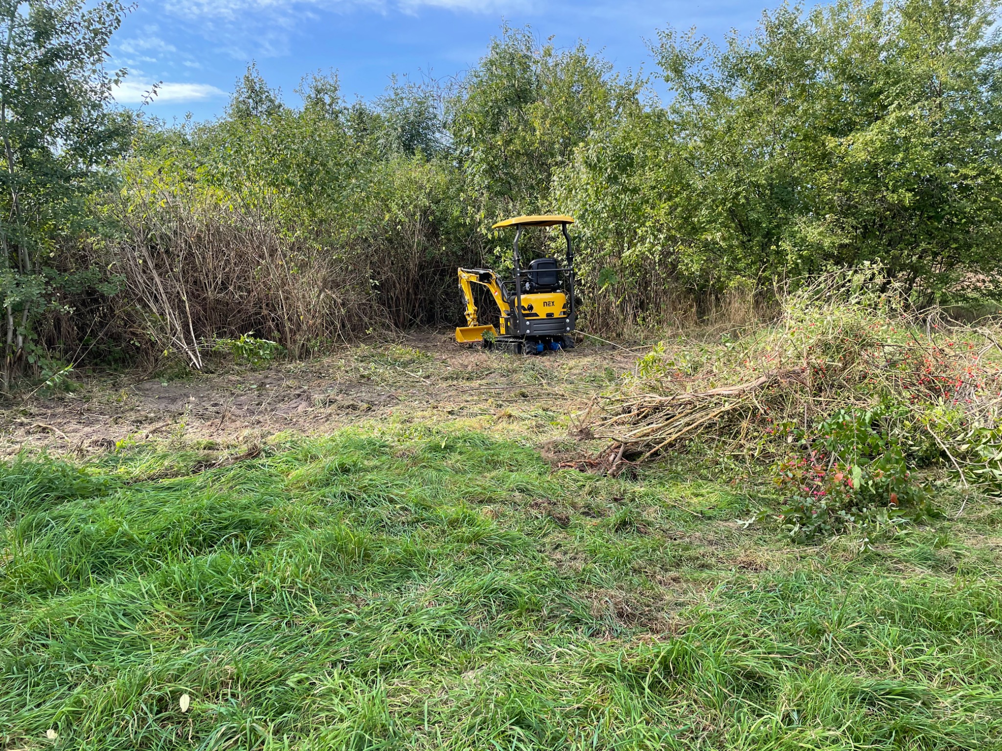 Żółta mini koparka NEX na skraju wykarczowanego terenu, z tyłu widoczne drzewa i krzewy, na pierwszym planie trawa i gałęzie.