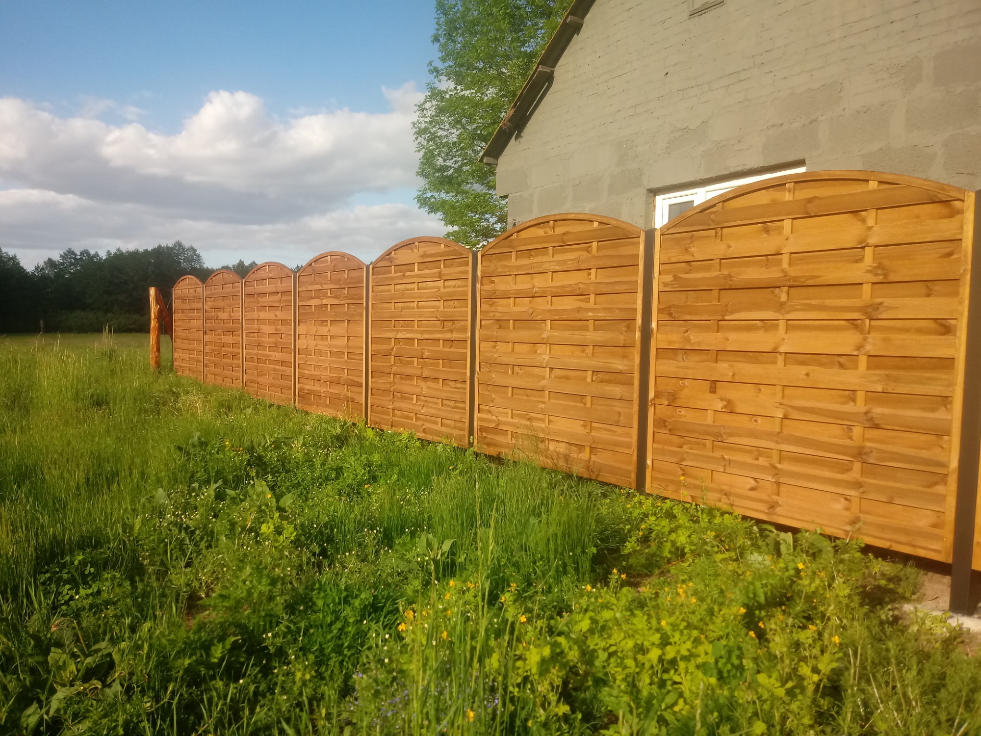 Nowe, drewniane ogrodzenie z zaokrąglonym wykończeniem górnej krawędzi, oddzielające posesję od łąki z wysoką trawą, widoczne w tle budynek mieszkalny.
