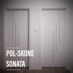 Montaż drzwi w całym domu.