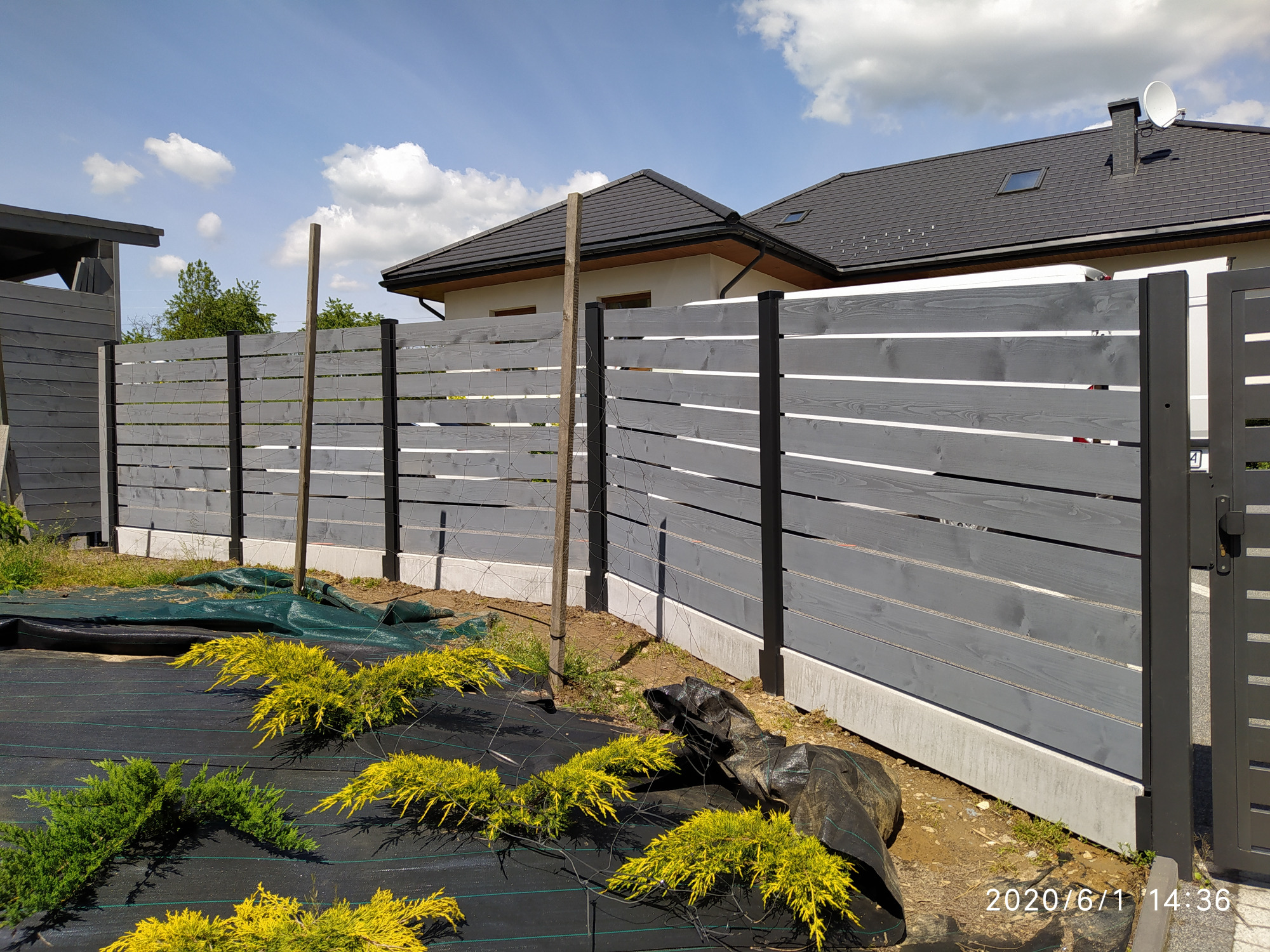 Szare, poziome deski ogrodzenia z czarnymi słupkami, widoczne w tle domy, na pierwszym planie czarna agrowłóknina z posadzonymi krzewami iglastymi, częściowo zamaskowana folią.