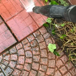 Czyszczenie czerwonej kostki brukowej na zewnątrz za pomocą myjki ciśnieniowej, widoczne liście i pozostałości roślin.