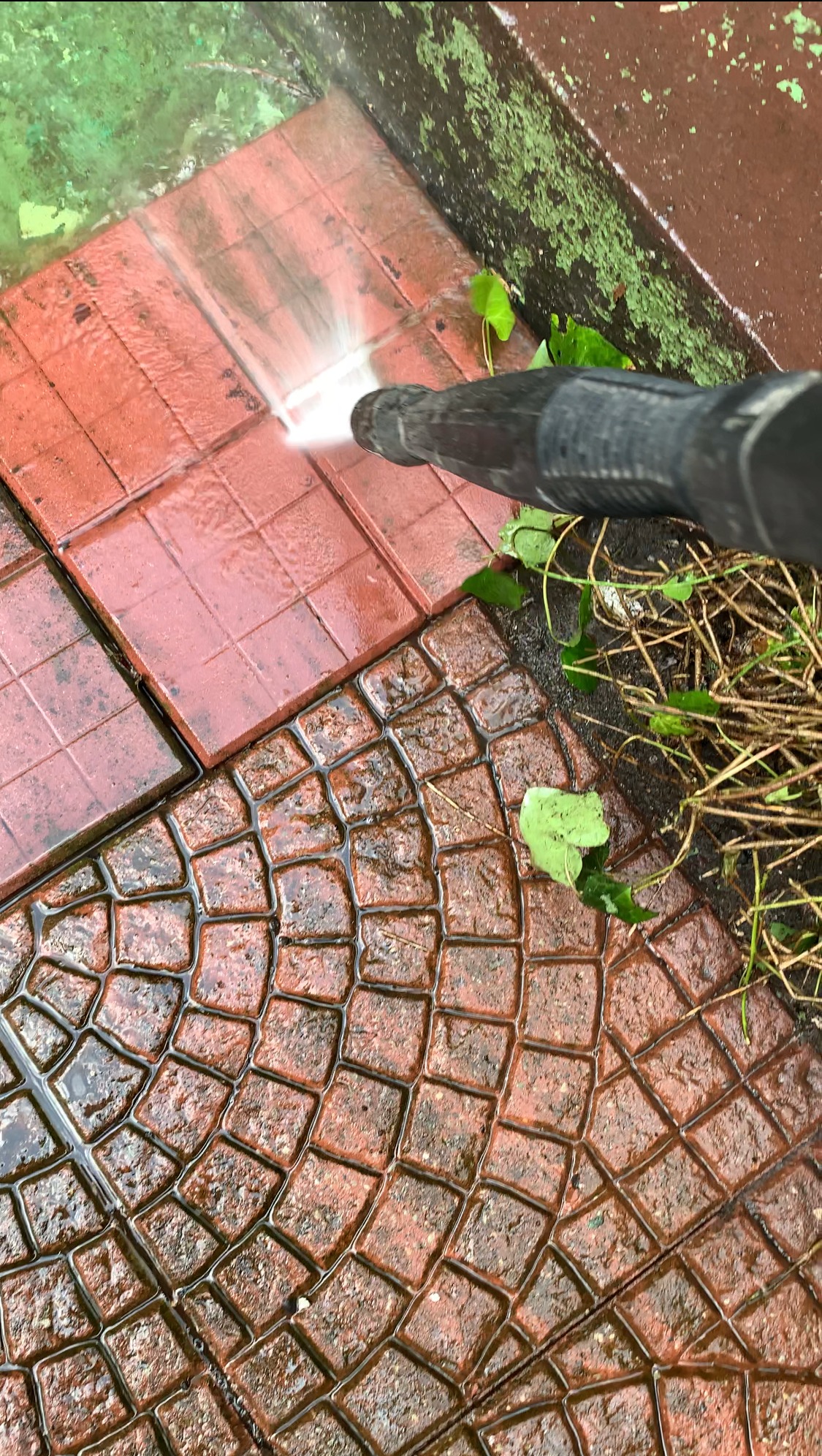 Czyszczenie czerwonej kostki brukowej na zewnątrz za pomocą myjki ciśnieniowej, widoczne liście i pozostałości roślin.