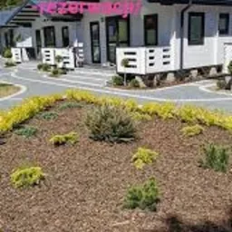 Rząd identycznych, nowoczesnych domków letniskowych z ciemnymi dachami i jasnymi elewacjami, otoczonych starannie zagospodarowanymi rabatami z roślinami iglastymi i korą.