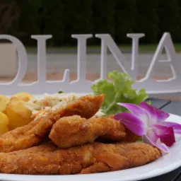 Porcja smażonego fileta z kurczaka z ziemniakami, surówką i dekoracją z fioletowego storczyka na białym talerzu; w tle biały napis 'ROLINA'