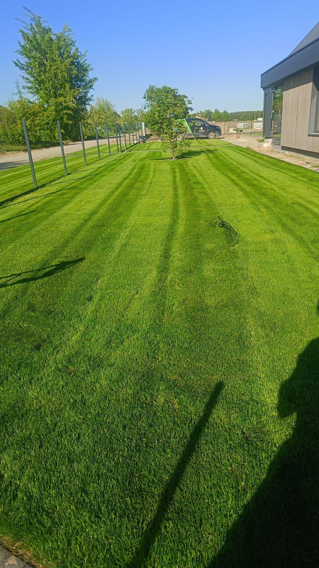 Perfekcyjnie skoszony trawnik z wyraźnymi pasami, drzewo w centralnej części, nowoczesny dom w tle. Widoczne metalowe słupki ogrodzenia i cień osoby w prawym dolnym rogu.
