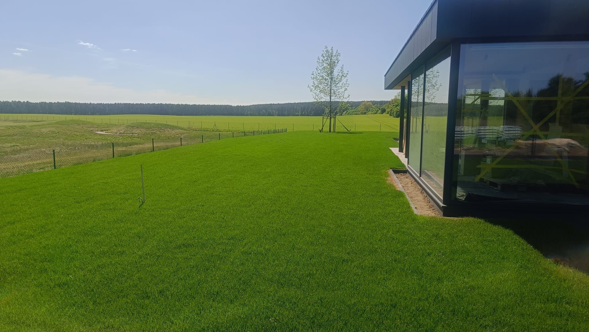 Świeżo założony trawnik z rolki przy nowoczesnym budynku z dużymi oknami, w tle zielone pola i las. Widoczne ogrodzenie i młode drzewko z podporami.