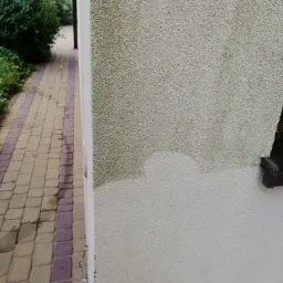 Fragment elewacji budynku z widoczną różnicą w czystości powierzchni, gdzie dolna część jest jaśniejsza, a górna pokryta zielonym nalotem; obok widoczny fragment chodnika z kostki brukowej.