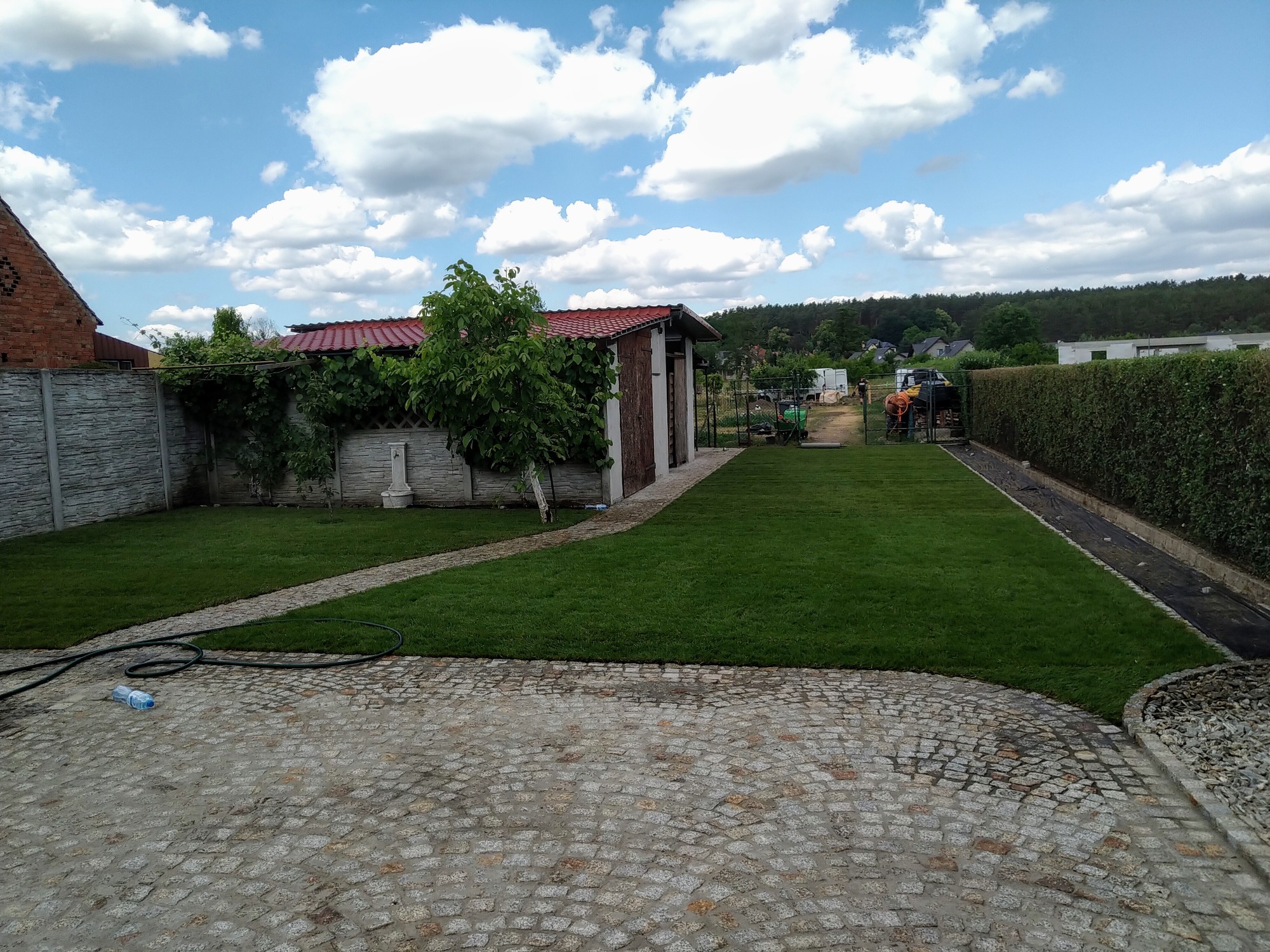 Świeżo założony trawnik z rolki, widoczne ślady po pracach ziemnych, na drugim planie budynek gospodarczy z czerwoną dachówką i częściowo betonowe ogrodzenie, niebieskie niebo z białymi chmurami.
