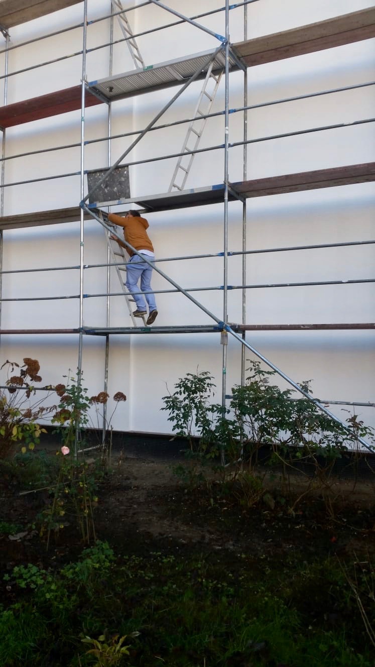 Pracownik w brązowej kurtce wchodzi po drabince na rusztowaniu ustawionym przy białej ścianie budynku, widoczne rośliny w ogrodzie u dołu.