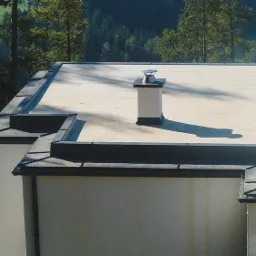 Płaski dach budynku z wykończeniem z ciemnej blachy, widoczny komin z metalową nasadą, tło stanowią zielone drzewa.