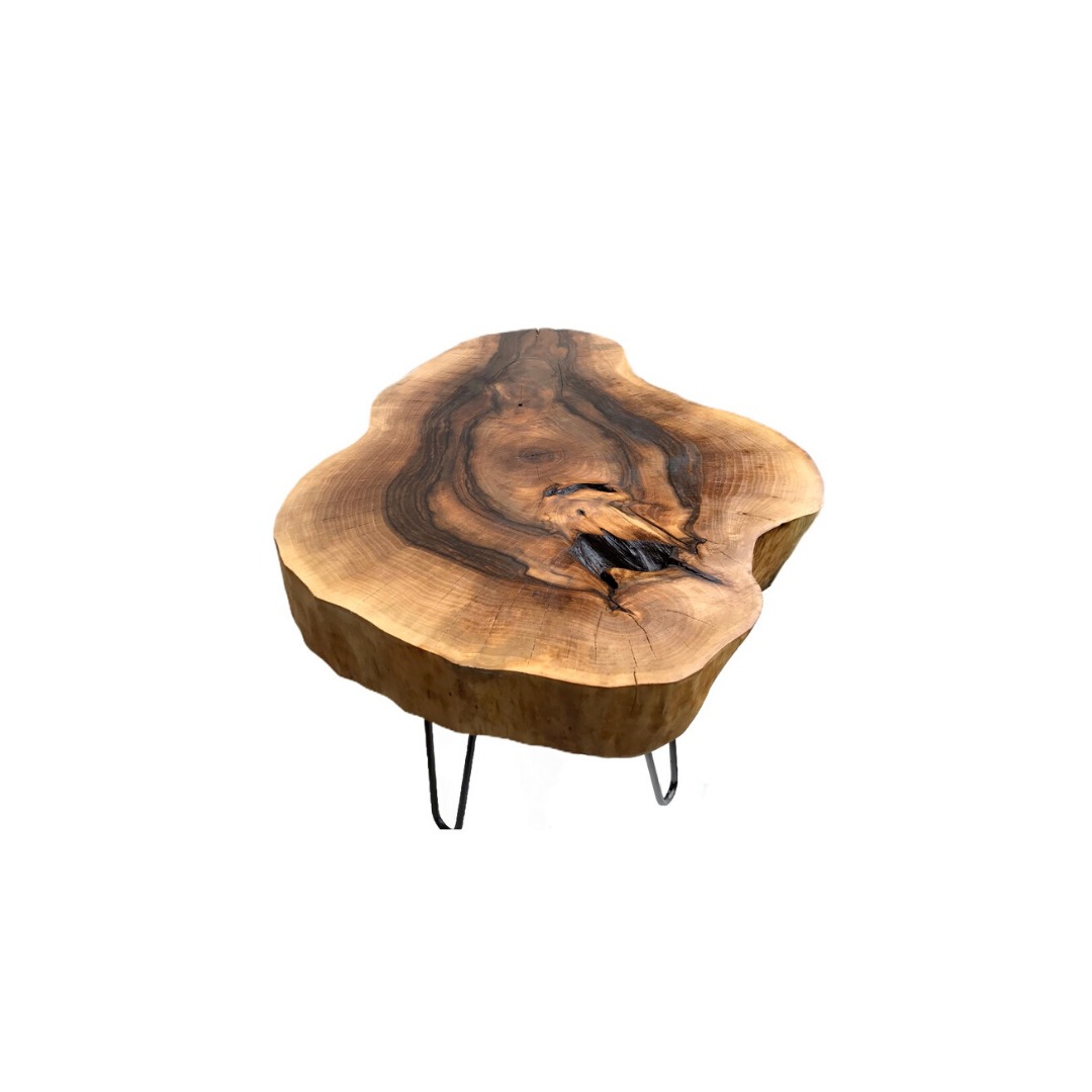 Stolik kawowy z blatem z pnia drzewa o nieregularnym kształcie i widocznymi słojami oraz czarnymi, metalowymi nóżkami w kształcie litery V.