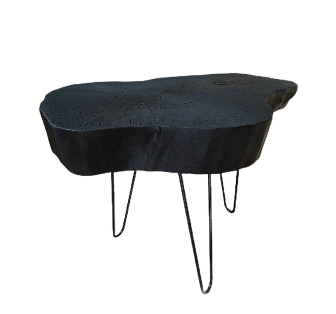 Czarny stolik kawowy wykonany z pnia drzewa z metalowymi nogami w stylu retro, widoczne słoje i naturalny kształt blatu.