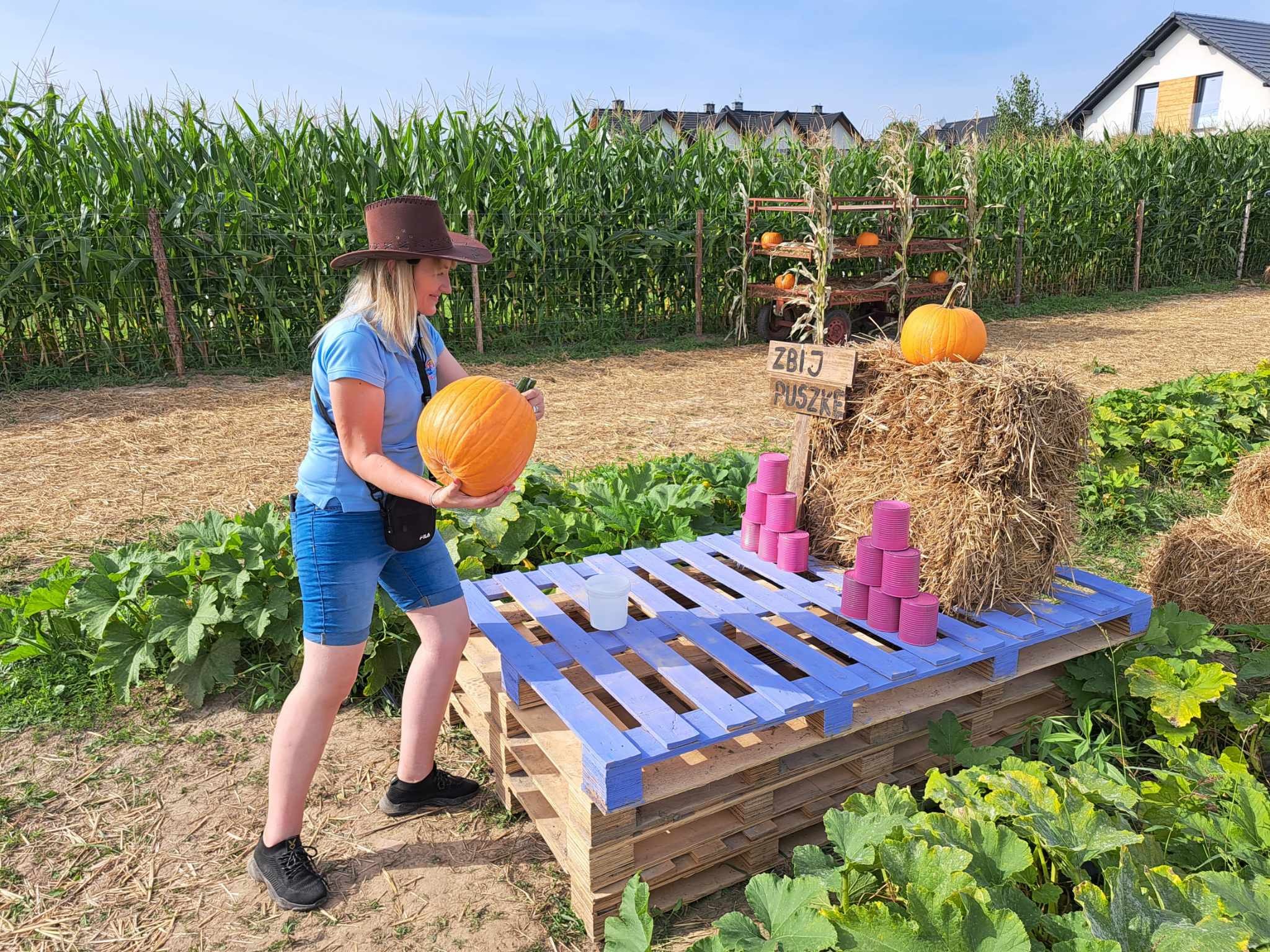 Kobieta w brązowym kapeluszu trzyma dużą pomarańczową dynię, przygotowując się do rzucenia nią w piramidę z różowych puszek na niebieskim podeście z palet; w tle pole kukurydzy i dekoracje z dyni...