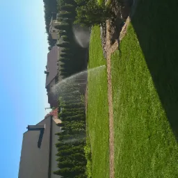 Automatyczne nawadnianie trawnika w ogrodzie, zraszacz rozpyla wodę, widoczny fragment domu i iglaki w tle.