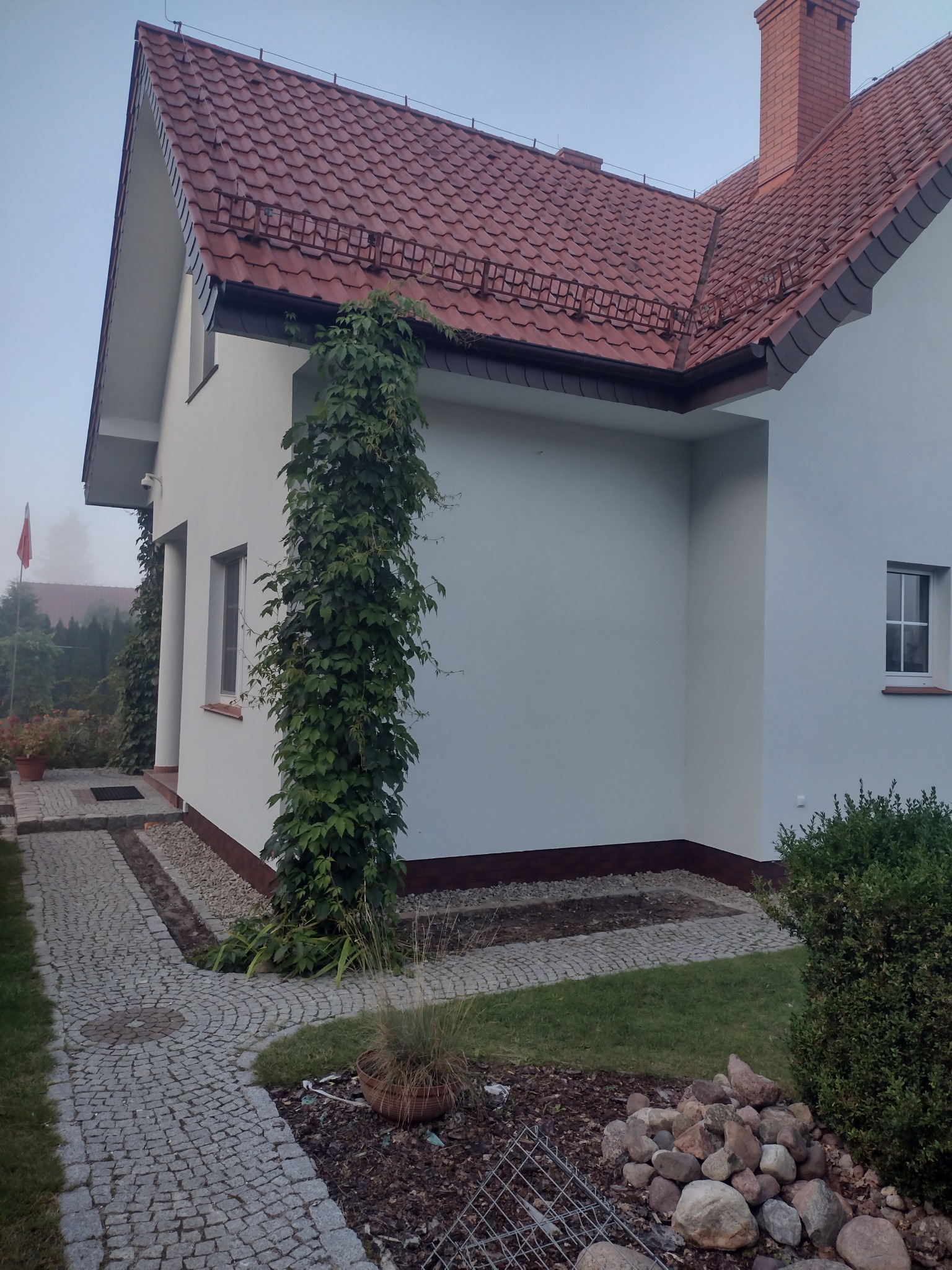 Nowoczesny dom jednorodzinny z białą elewacją, czerwoną dachówką i kamienną ścieżką, częściowo porośnięty bluszczem, widoczny w pochmurny dzień.