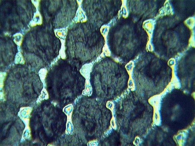 Siatka rastrowa przed czyszczeniem - zdjęcie mikroskopowe.