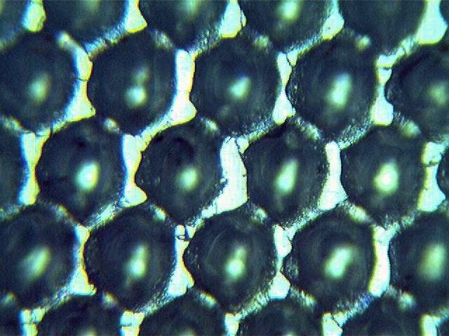 Siatka rastrowa po czyszczeniu - zdjęcie mikroskopowe.