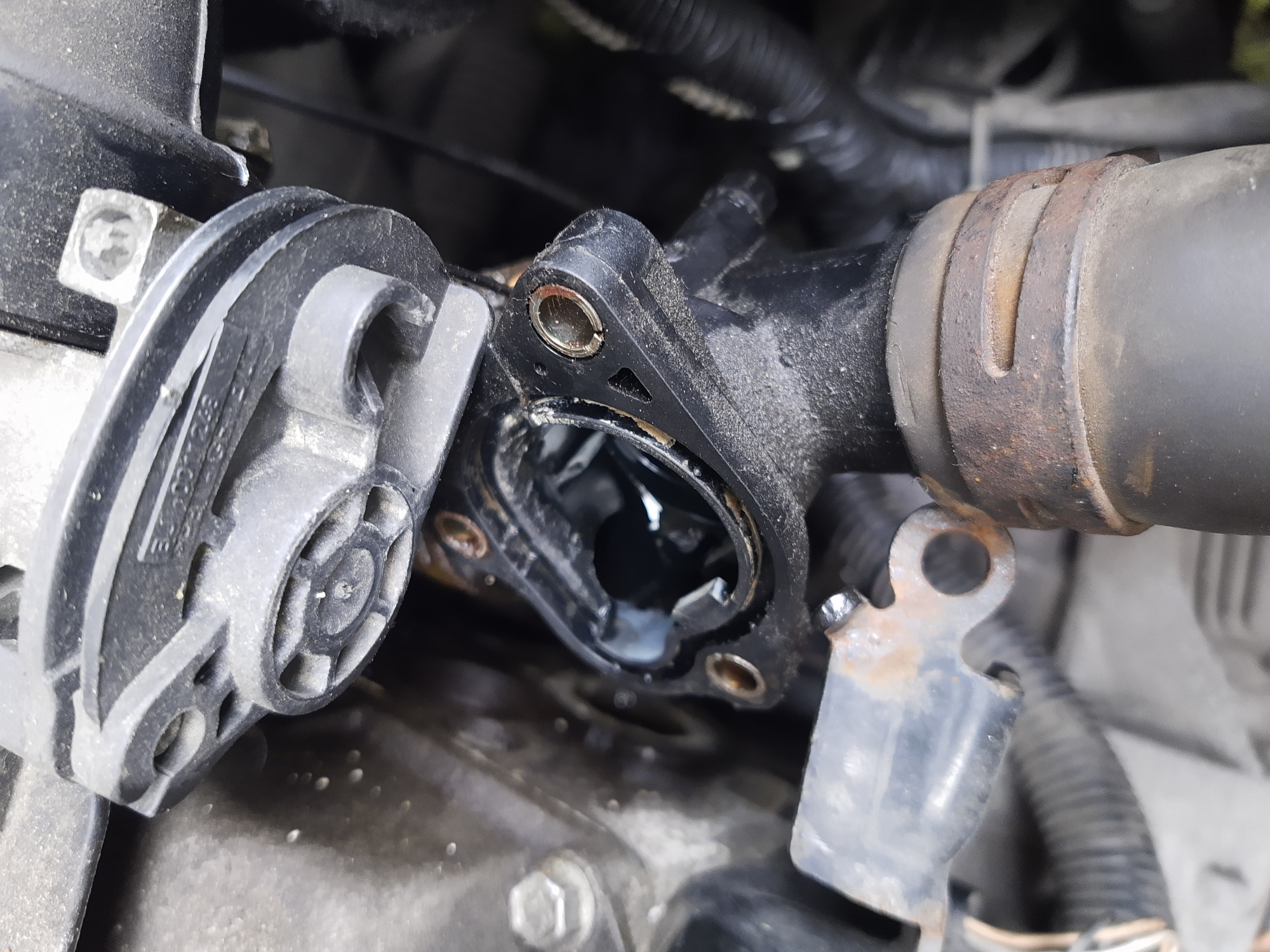 Zdjęcie zbliżeniowe demontażu termostatu samochodowego z widocznymi śladami korozji na elementach mocujących.