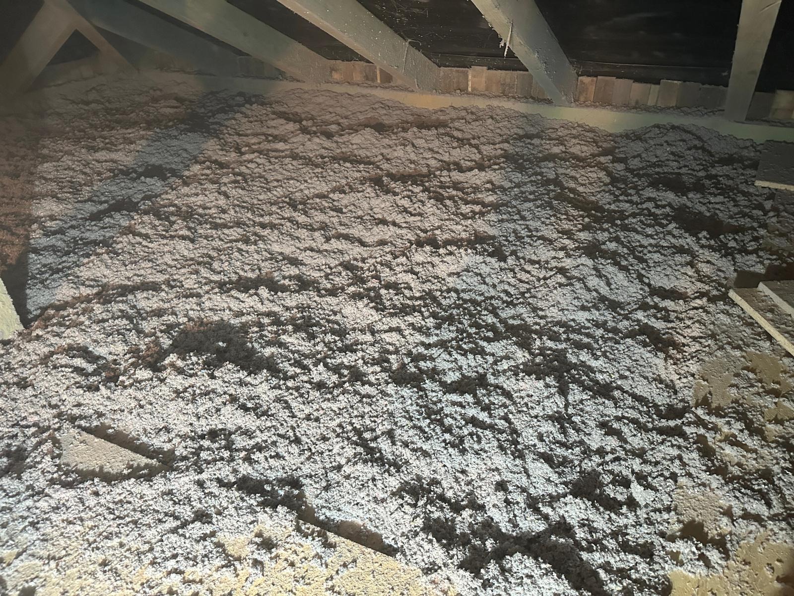 Poddasze wypełnione szarą, puszystą izolacją celulozową, widoczne drewniane elementy konstrukcyjne dachu w tle, oświetlenie punktowe z dołu podkreśla strukturę materiału.