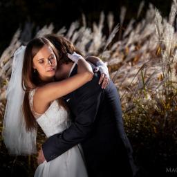 Grafik komputerowy Poznań 3