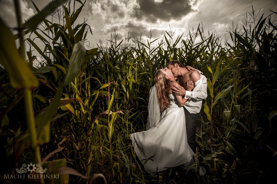 Zakochana para młoda całuje się w polu kukurydzy, mężczyzna w rozpiętej koszuli, kobieta w białej sukni ślubnej i welonie, pochmurne niebo w tle.