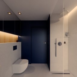 Projektowanie mieszkania Poznań 1