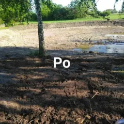 Wyrobisko ziemne z pozostałościami wody, widoczny brzeg i drzewo pośrodku, ziemia z wyraźnymi śladami maszyn.