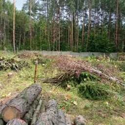 Wycinka drzew pod budowę domu jednorodzinnego kompleksowo