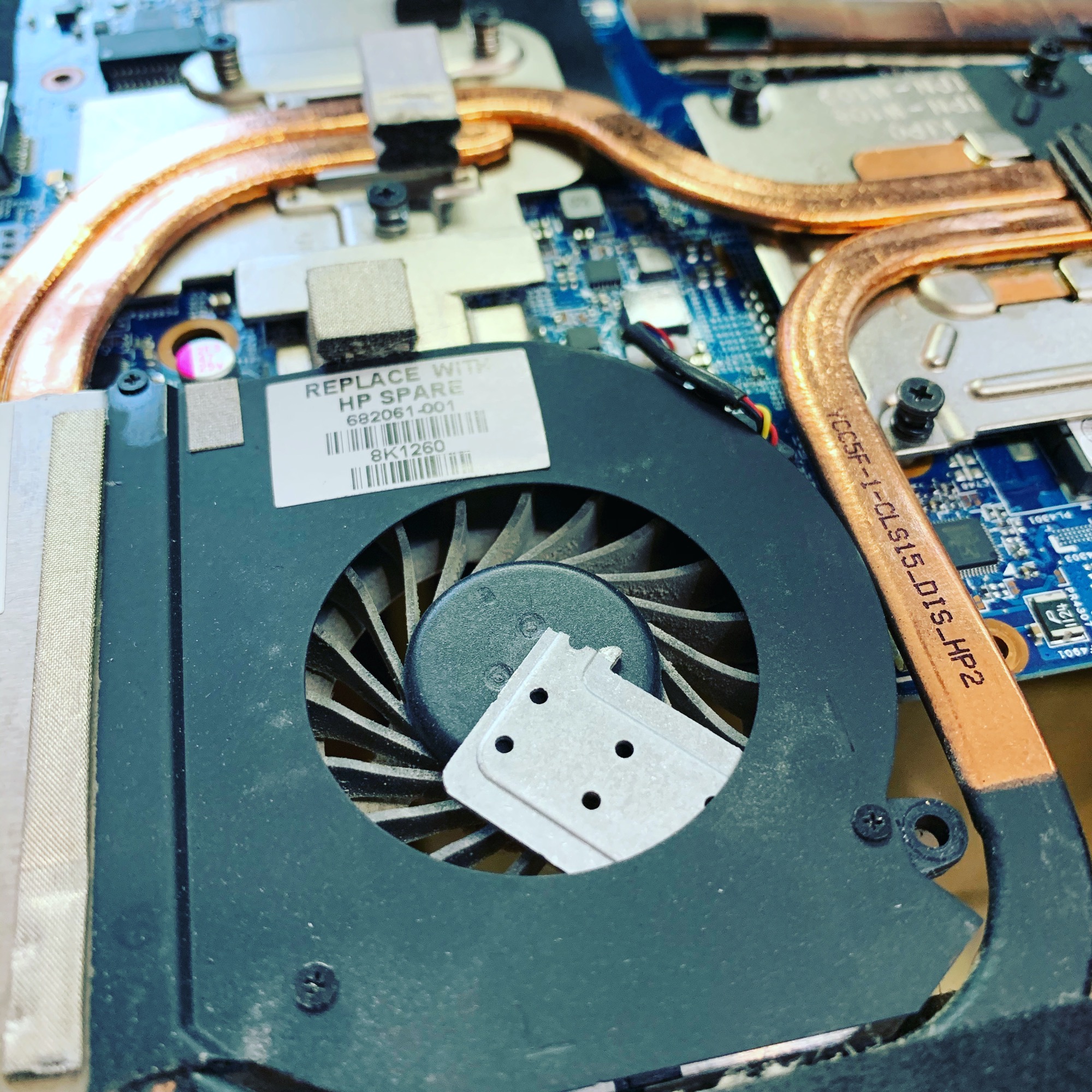 Takie skarby można odkryć.