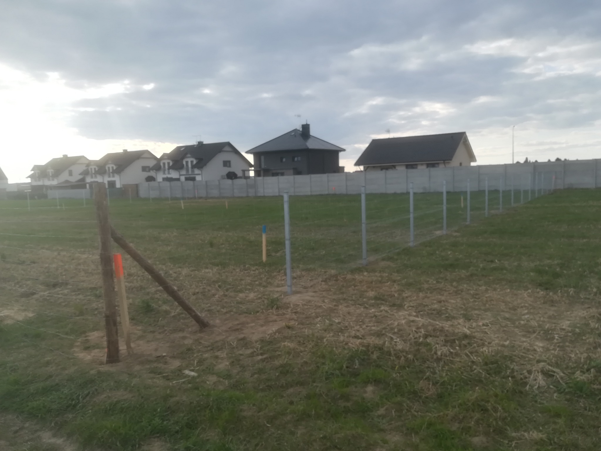 Wczesny etap budowy ogrodzenia z siatki na słupkach, widoczne drewniane podpory tymczasowe, w tle domy jednorodzinne i betonowy mur graniczny.