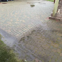 Umyta i brudna kostka brukowa na podjeździe, z kałużą i błotem przy trawniku, oraz ceramiczną figurką psa na schodach.