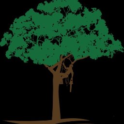 MALACHINSKy - Wycinanie Drzew Pomiechówek