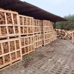 Ułożone w paletach pod zadaszeniem, gotowe do transportu pocięte kawałki drewna opałowego, na zewnątrz sterta drewna i leśna droga.