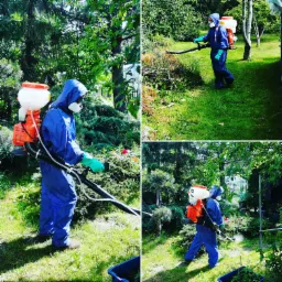 Opryski na kleszcze komary i inne insekty, dezynfekcja