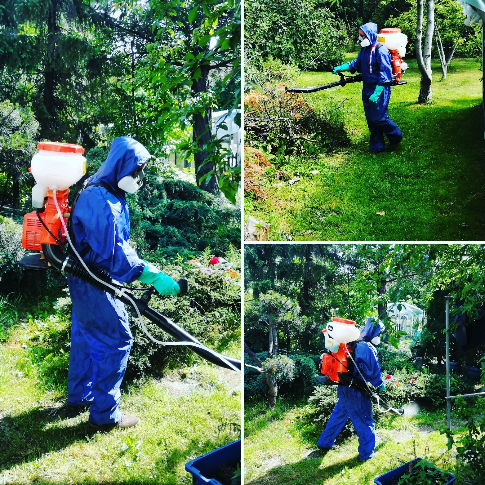 Opryski na kleszcze komary i inne insekty, dezynfekcja