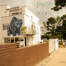 Mural przedstawiający czarnego niedźwiedzia w stylu grafiki na ścianie nowoczesnego budynku mieszkalnego, widoczny z perspektywy ulicy.