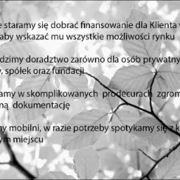Czarno-białe zdjęcie tekstu reklamowego o usługach finansowych i doradczych na tle gałęzi z liśćmi.