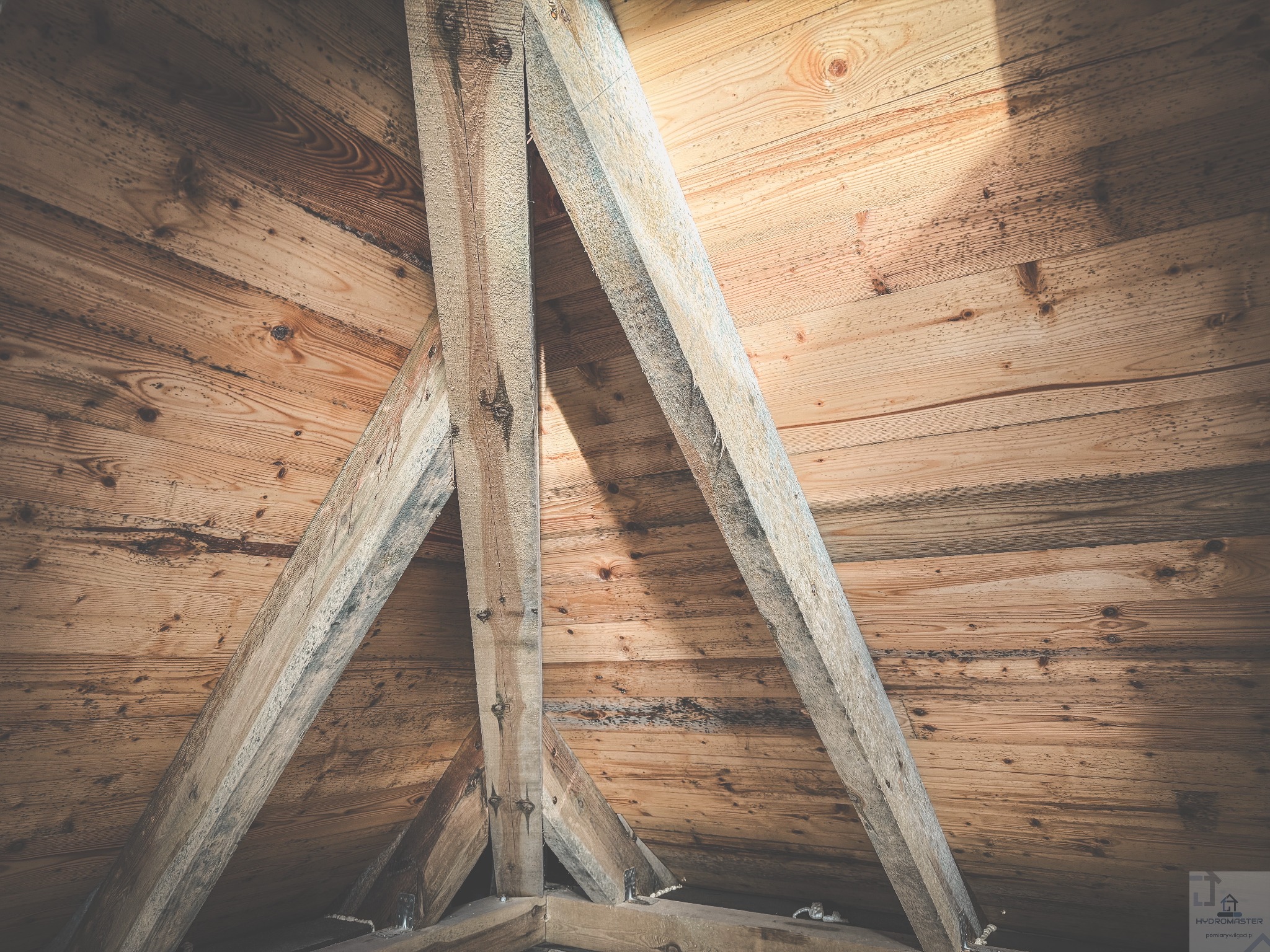 Drewniana konstrukcja dachu z widocznymi śladami zawilgocenia i pleśni na deskach. Ujęcie od dołu, z wyraźnym oświetleniem z góry.