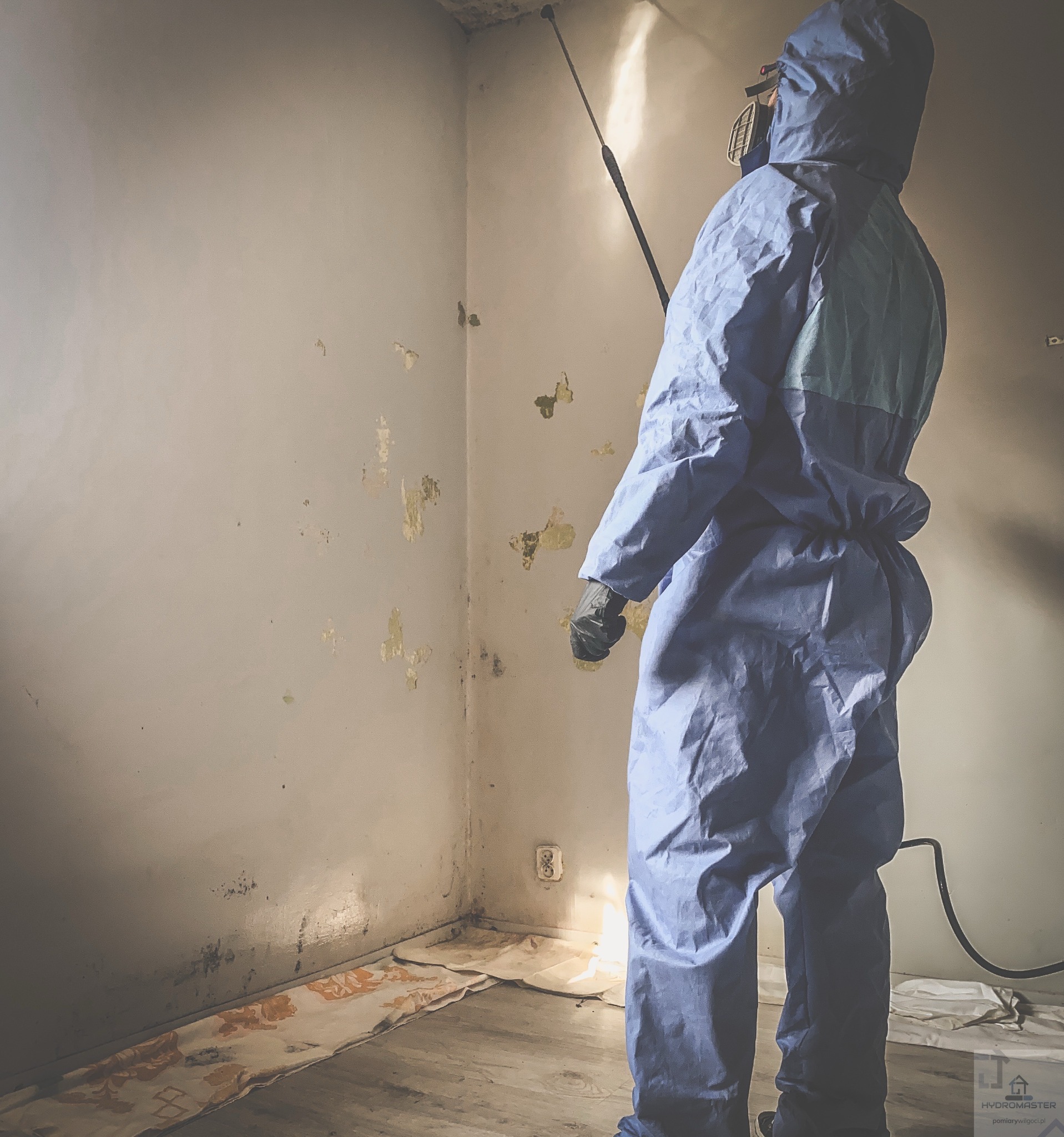 Pracownik w kombinezonie ochronnym spryskuje ścianę z widocznymi śladami wilgoci i pleśni, używając lancy. Zabezpieczona podłoga. Usługa osuszania i odgrzybiania.