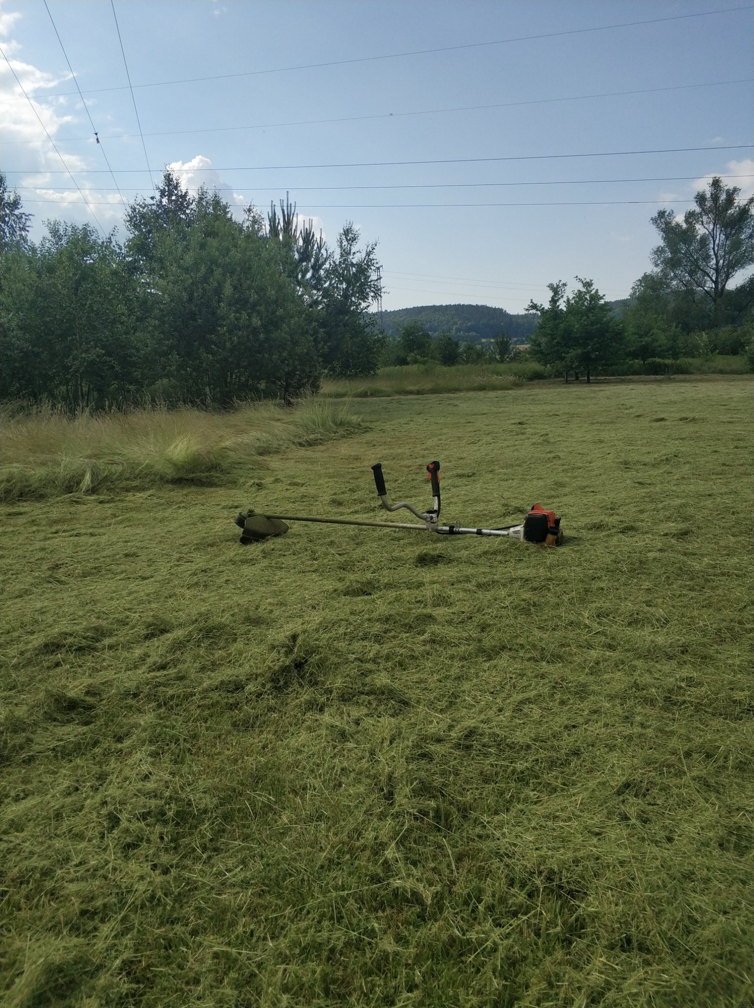 Koszenie kosa 1,2 ha