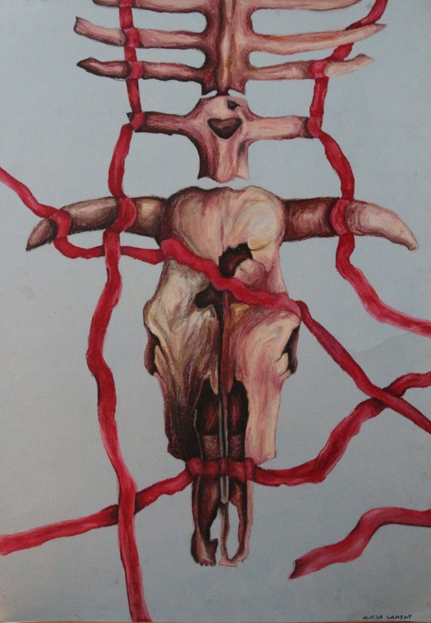 Rysunek przedstawiający czaszkę zwierzęcą i fragmenty szkieletu, oplecione czerwonymi wstążkami, wykonany kredkami na szarym tle.