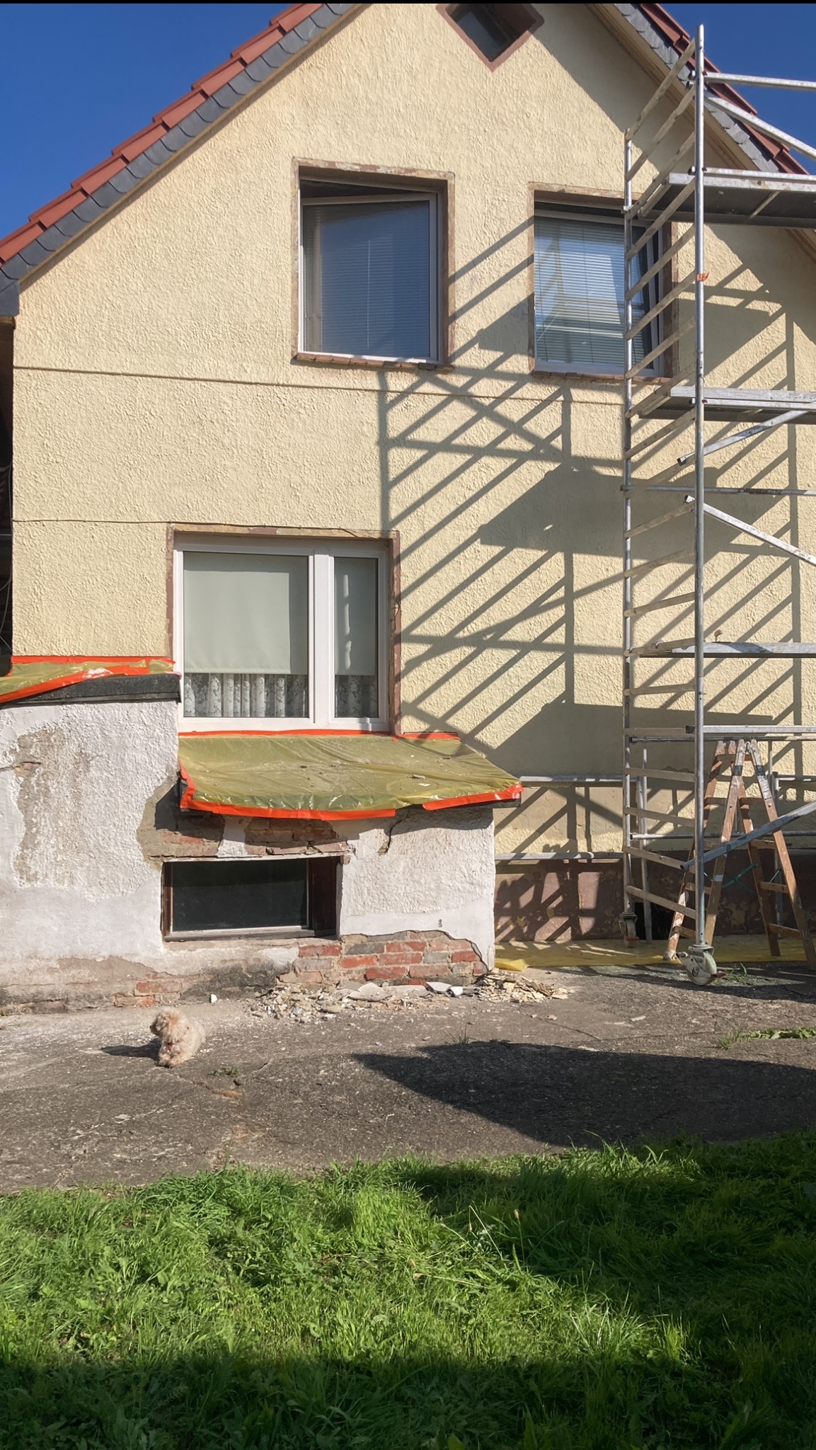 Elewacja domu w trakcie mycia pod osłoną, widoczne rusztowanie i leżący pies.