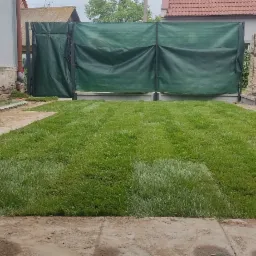 Świeżo ułożona trawa z rolki na posesji we Wrocławiu, widoczne wałki trawy w rogu działki, zielona zasłona w tle.