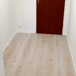 Jasne panele podłogowe ułożone w przedpokoju, widoczna brązowa drzwi wejściowe i białe ściany z gniazdkiem elektrycznym.