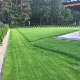 Perfekcyjnie przystrzyżony trawnik w Skokach z wyraźnymi pasami po koszeniu, obrzeża z kamyków i rząd tuj wzdłuż ogrodzenia, w tle las.